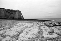 Normandy: Nature